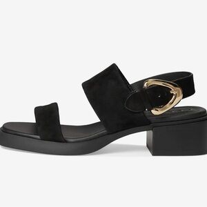 Aerosoles Dantay Sandal. 7.5 M Black Suede, Brand New with Box.